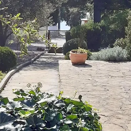 An Ideal Place To Relax And Unwind Feriehus Jasenice (Zadar)